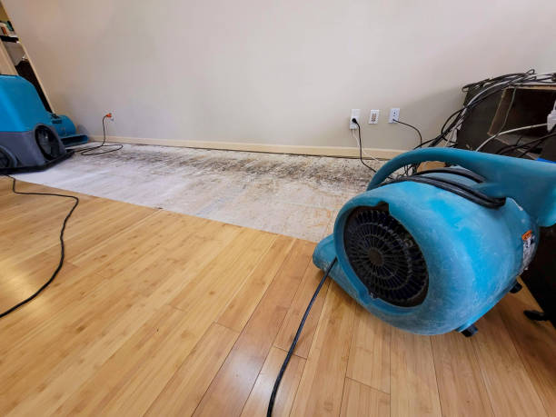 Professional Water Extraction technician working in Robbinston, ME
